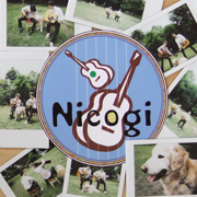 Nicogi「s・o・r・a」